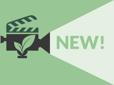 New eTraining: Green Production