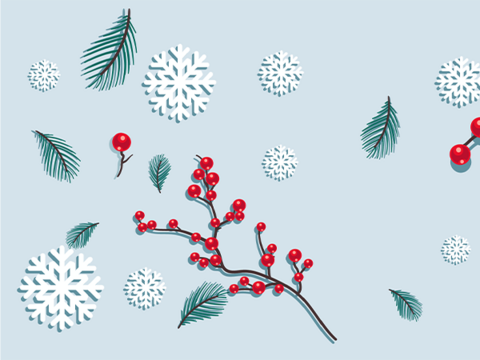 Das EPI wünscht frohe Feiertage und einen gesunden Jahreswechsel