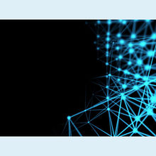 Michal Steflovic/Shutterstock.com